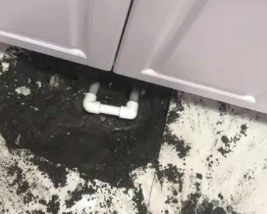 省直辖查漏水哪家好